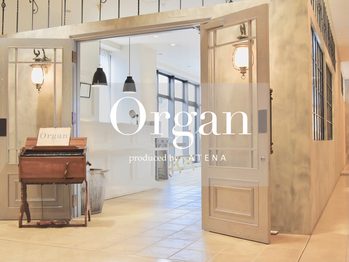 Organ【オルガン】｜Men'sBeauty掲載店舗
